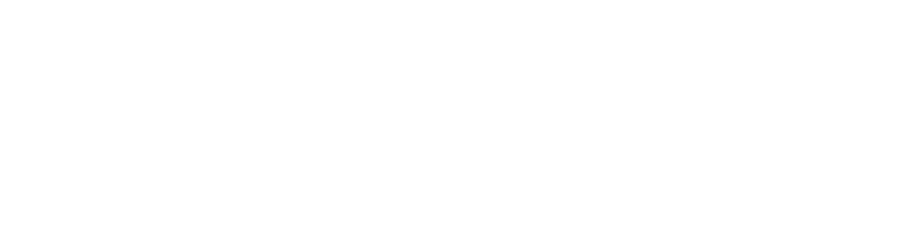 logo-shlomit-gliks